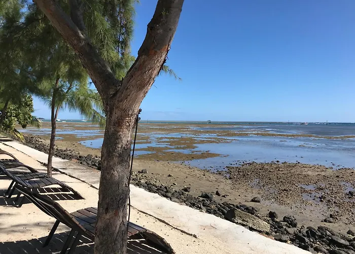 Bon Vivant Front De Mer - Ile Rodrigues
